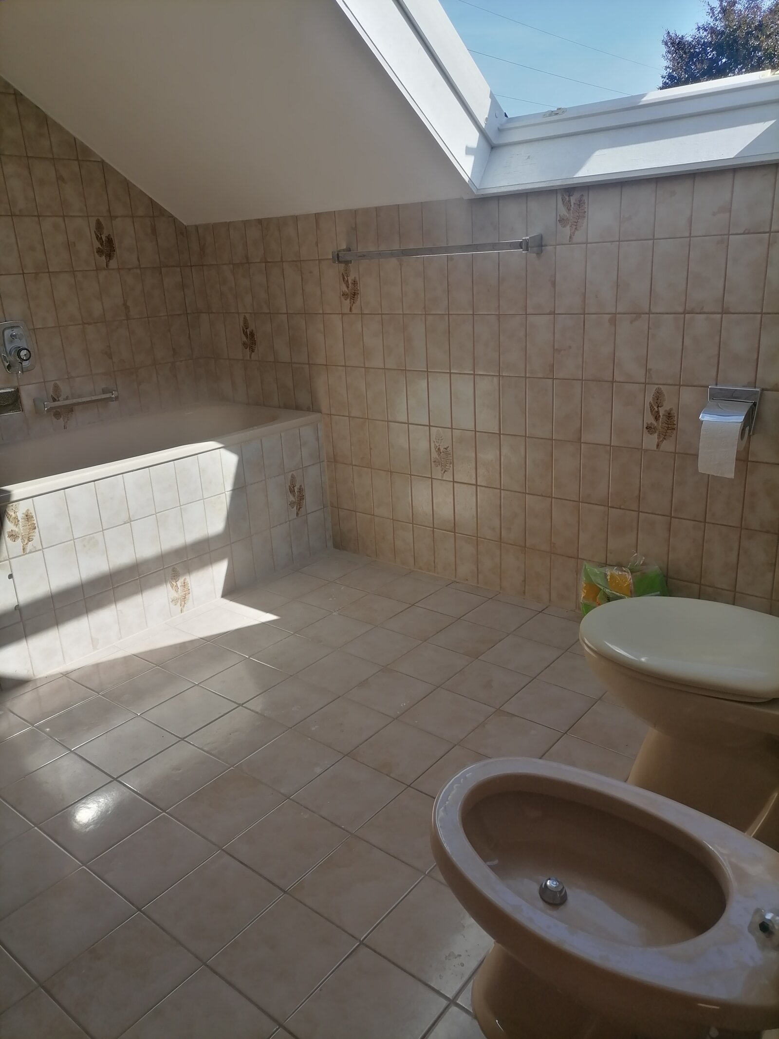 Wannenbad mit Dusche, WC, Bidet
