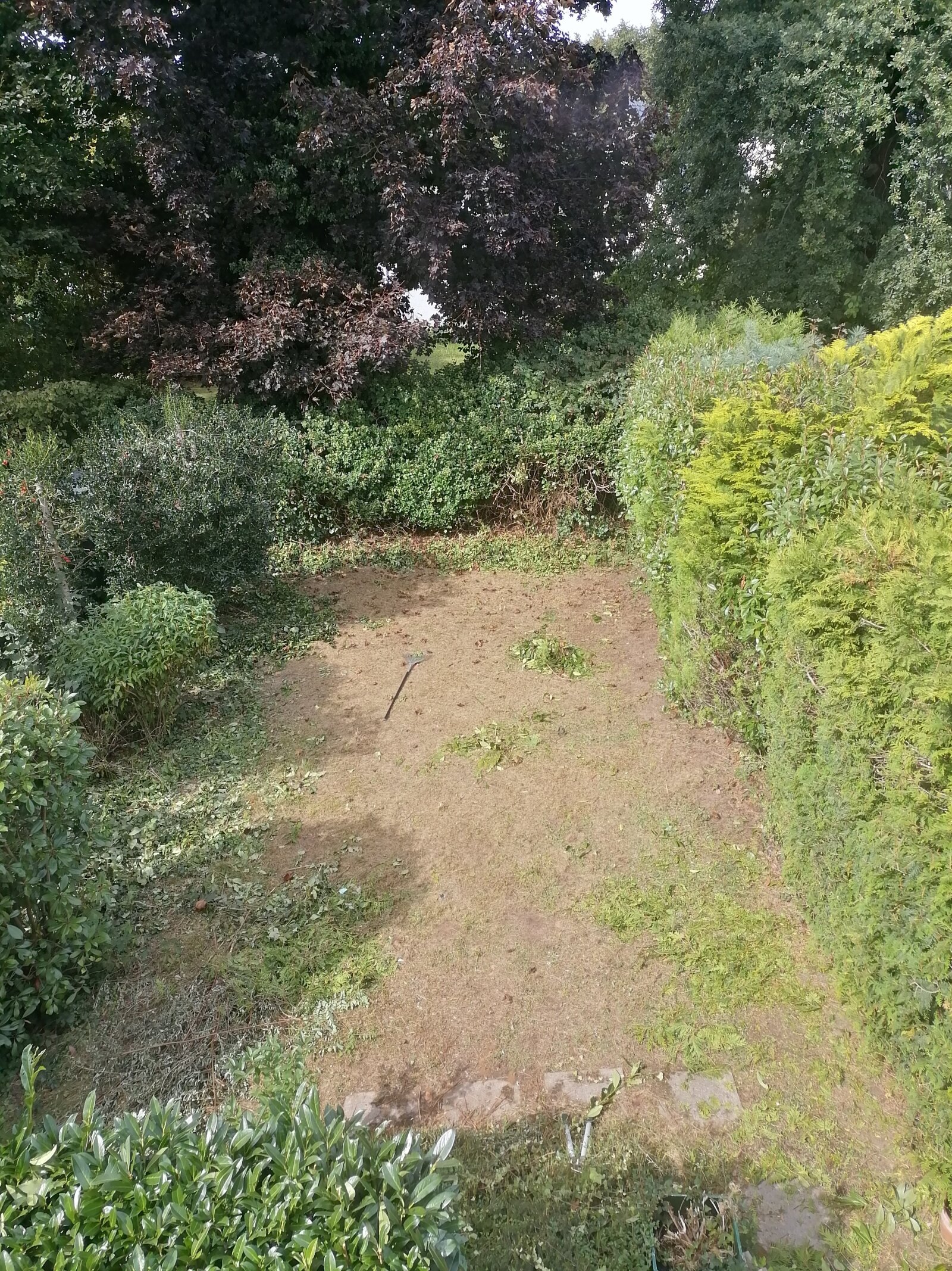 Der Garten