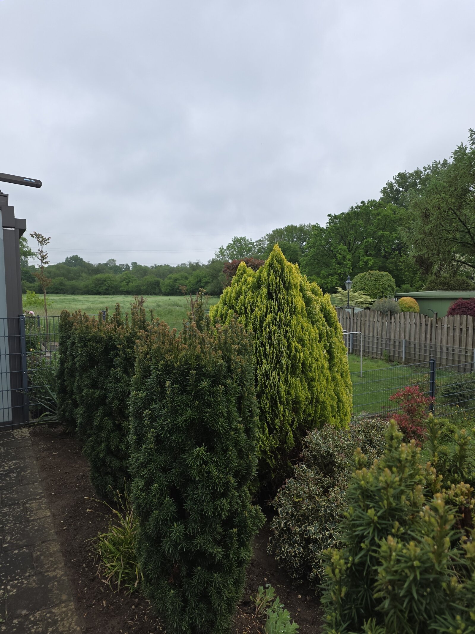 Blick vom Garten in westlicher Richtung