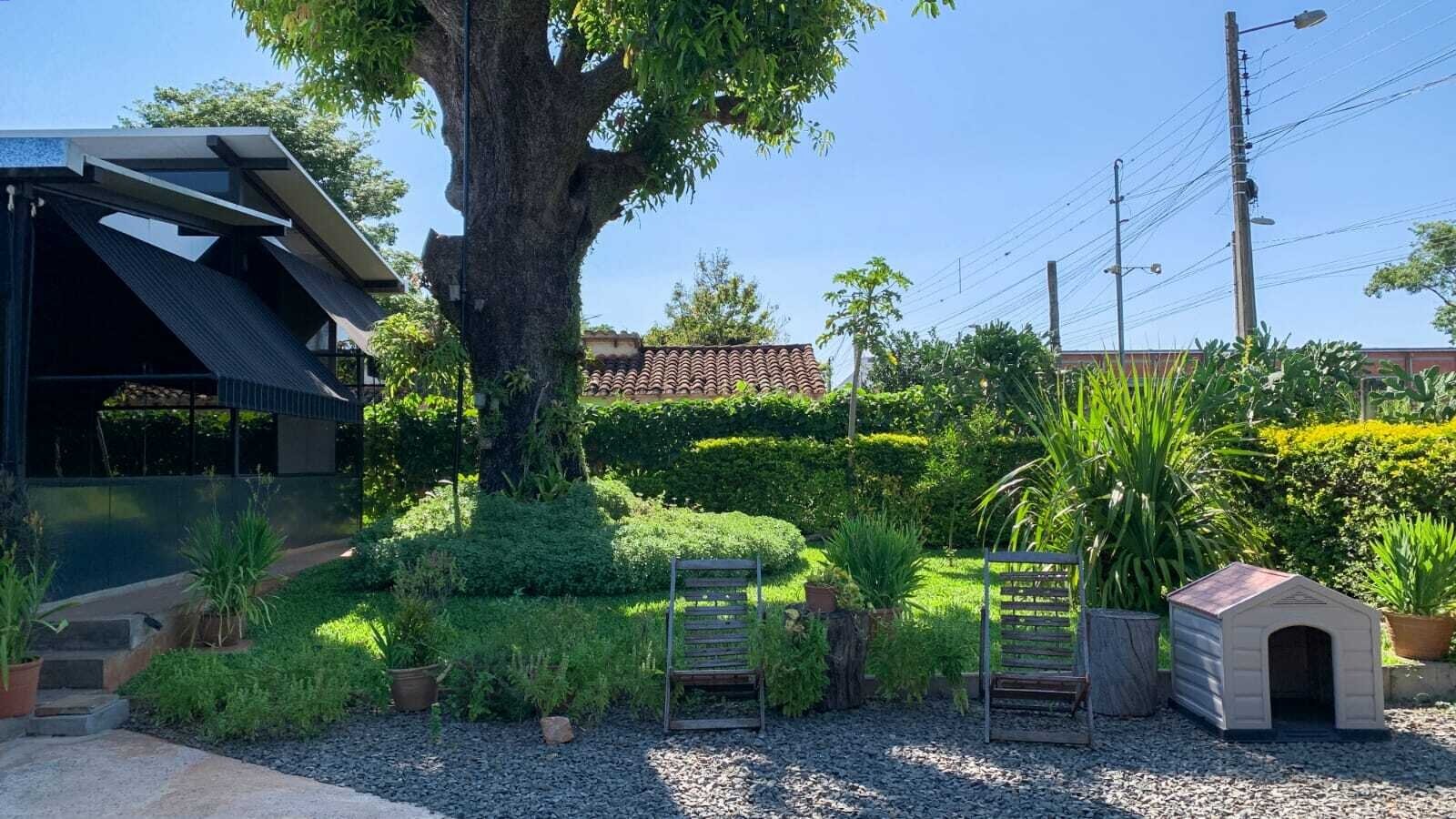 Der Garten Der Garten