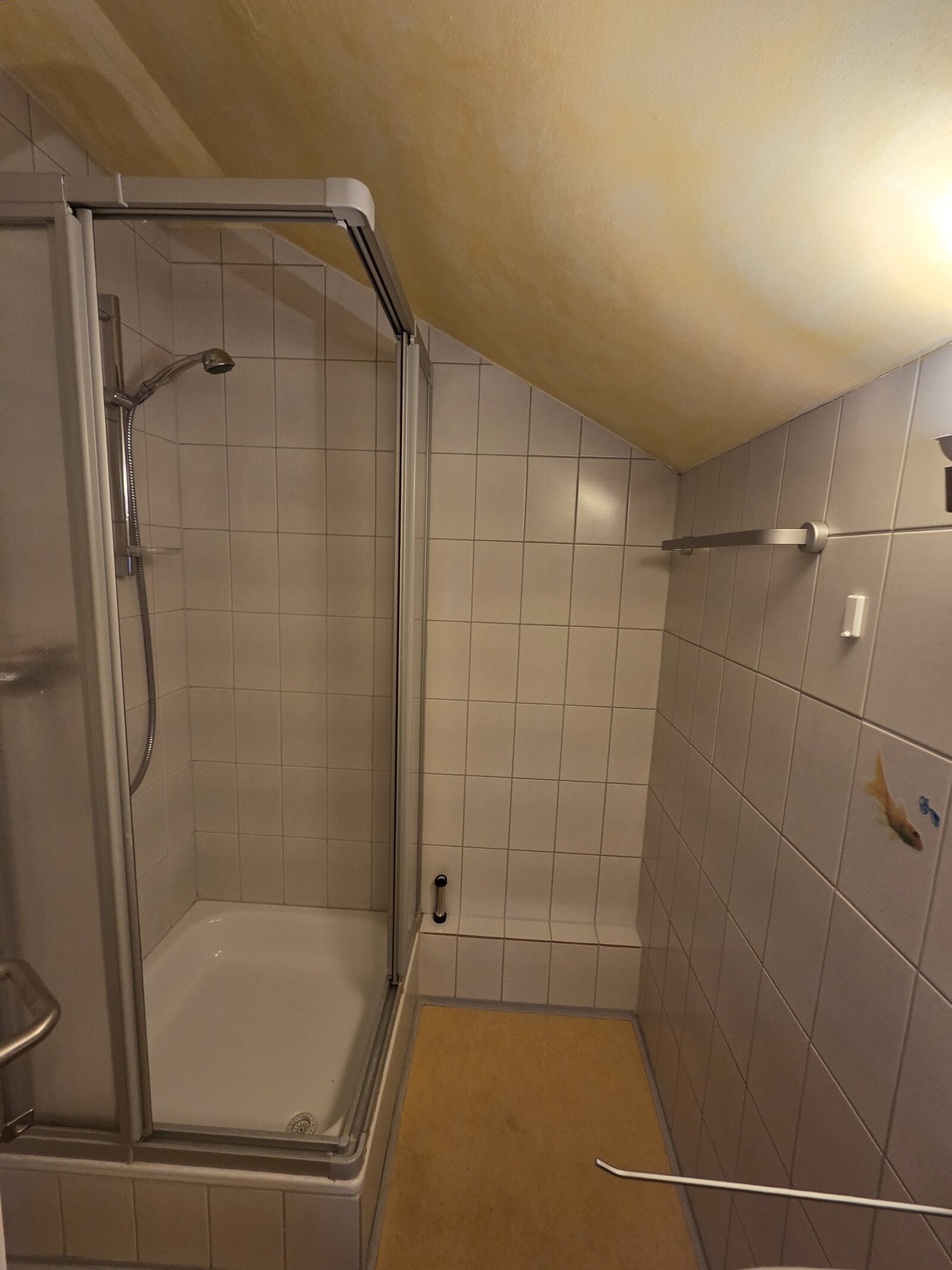Duschbad im DG